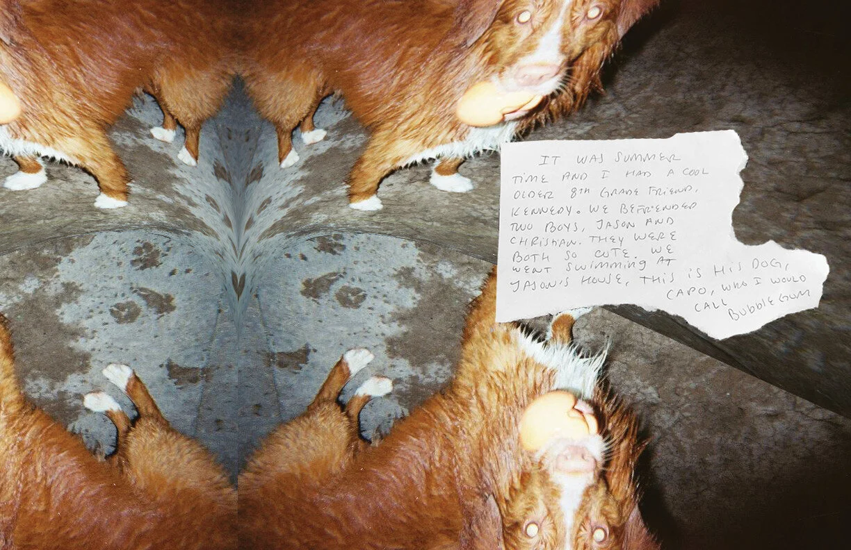 trying whole thing as jpeg?17.jpg