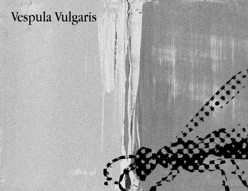 vespula vulgaris process jpeg attempt.jpg