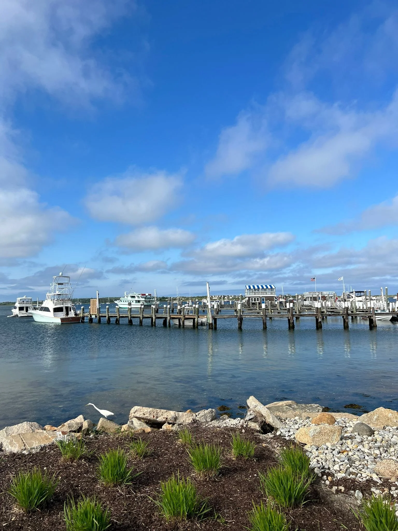 Champlin's Marina & Resort on Block Island — espressofied