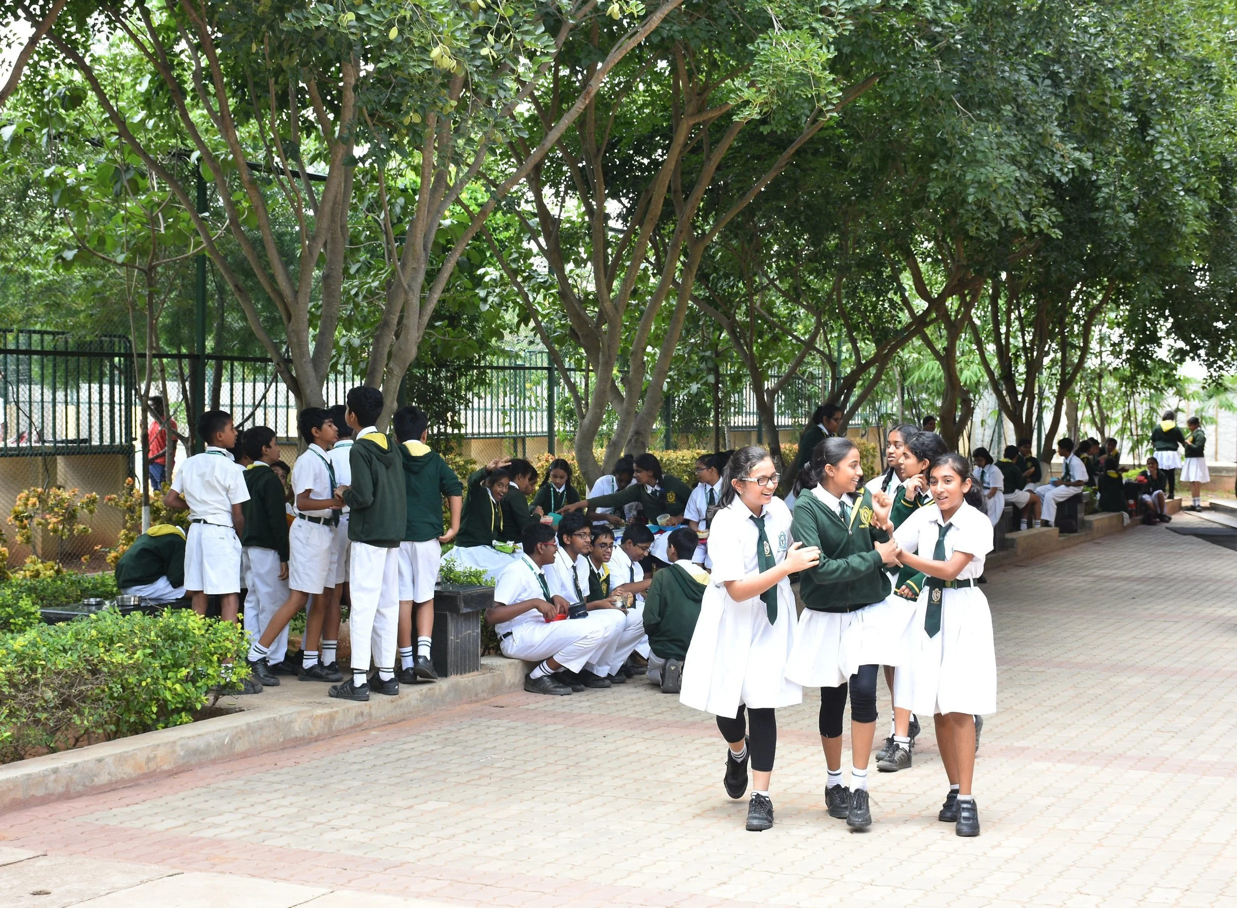 Delhi Public Schools - Bangalore North