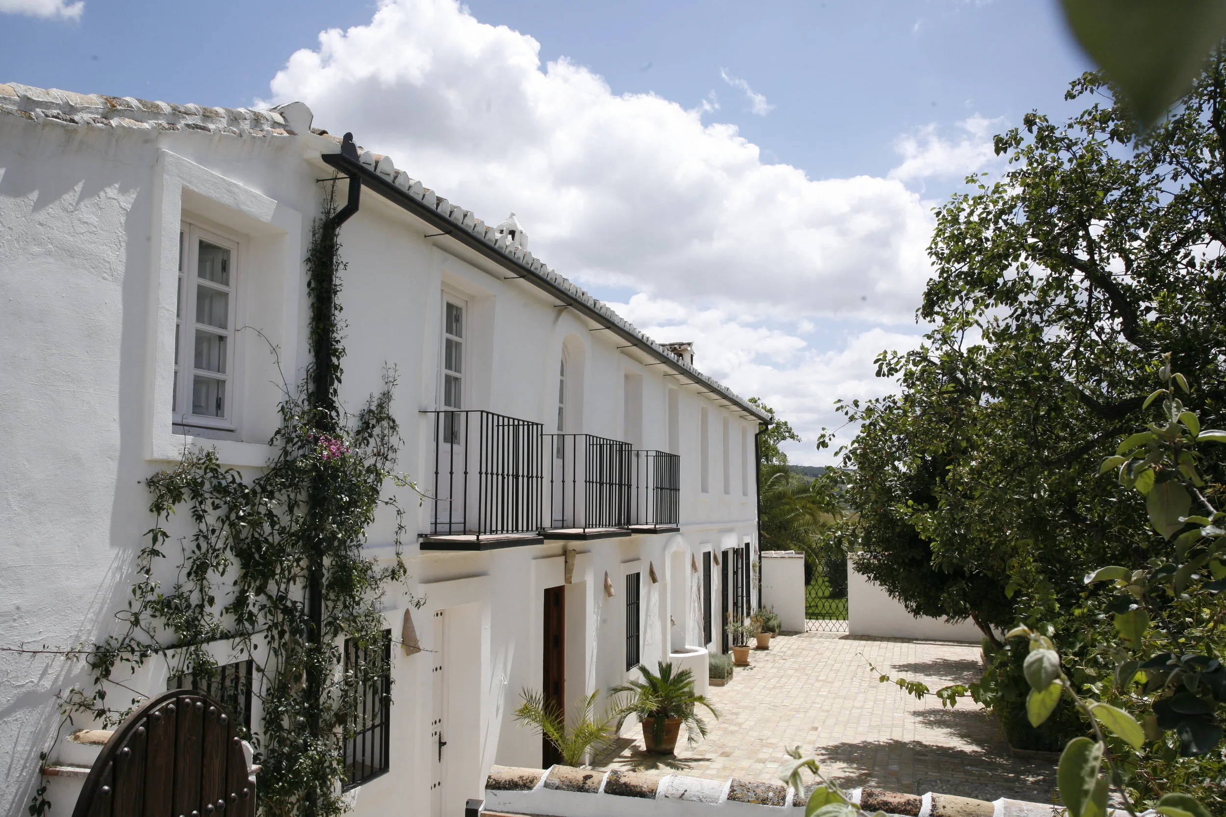 Front of house over wall.JPG