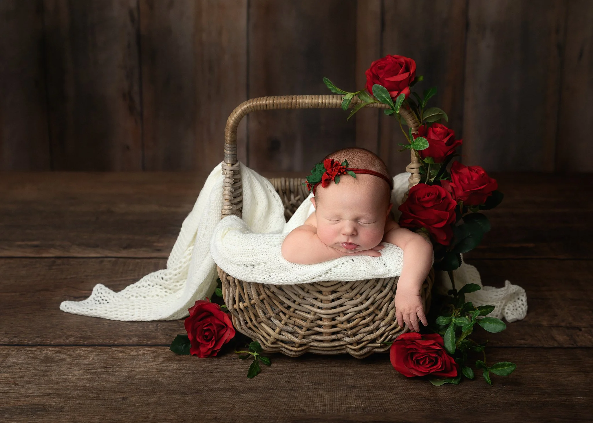 _A0A6561afinal-copy(no-social).jpg