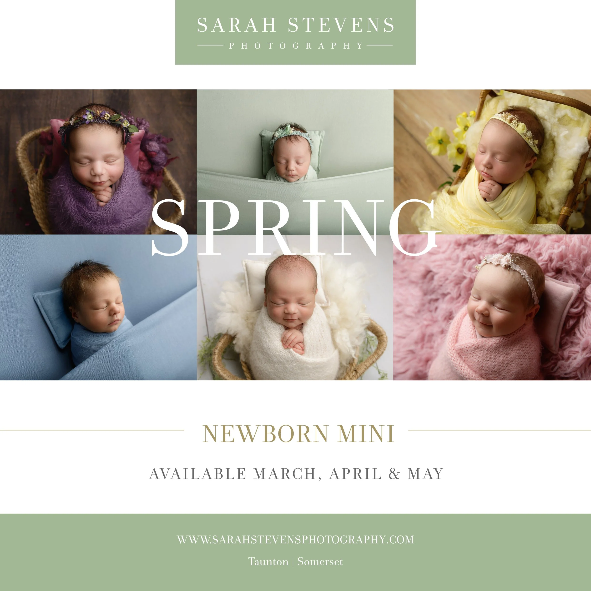 Spring Newborn Advert_1.jpg