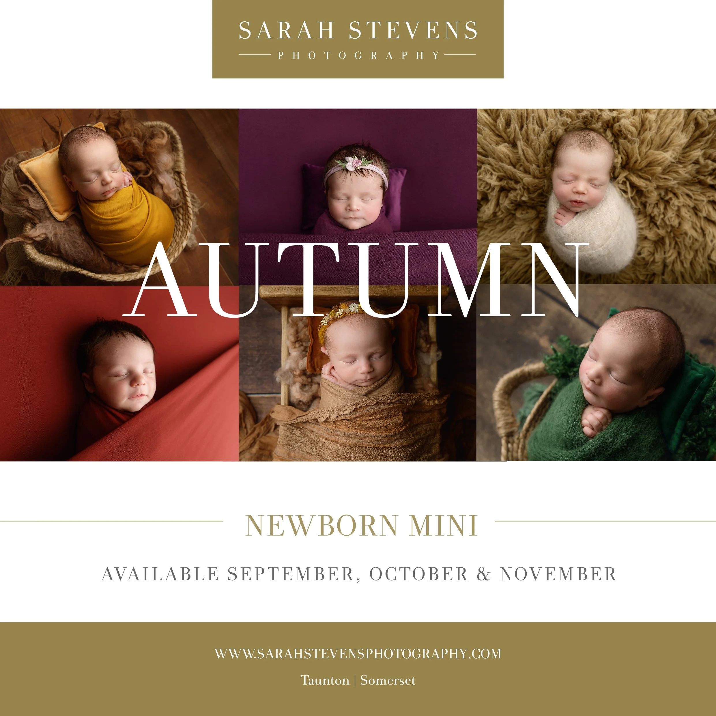 Autumn Newborn Advert_1.jpg