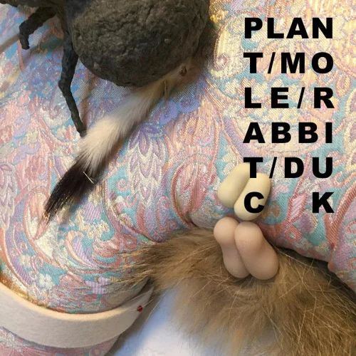 PLANT/MOLE/RABBIT/DUCK by Ben Galaday.