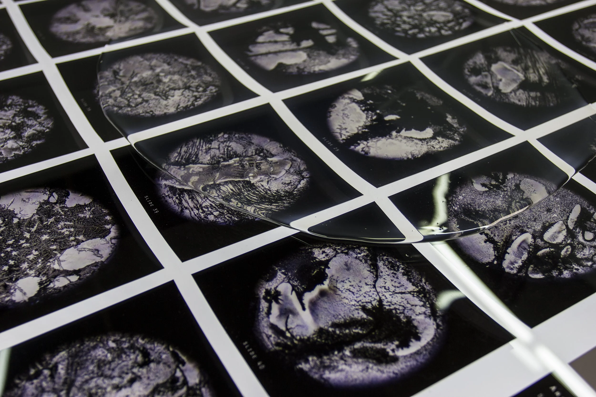 Dumbo Fall Open Studios