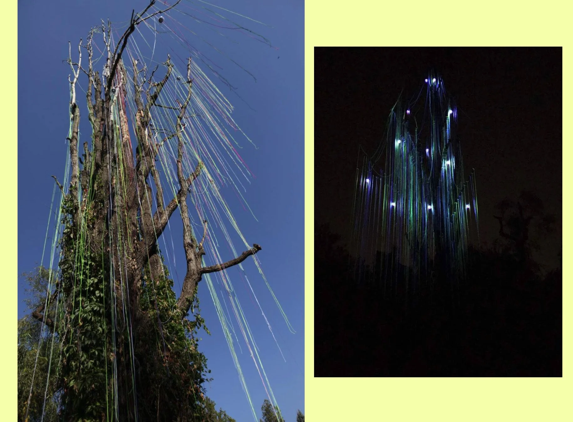 3_Installation_ POPULUS, Botanical Garden. Art Prospect public art festival_ A new lease of life for green spaces!_Bishkek,Kyrgyzstan__2017 (wood, colored threads) - Диана Рахманова.jpg