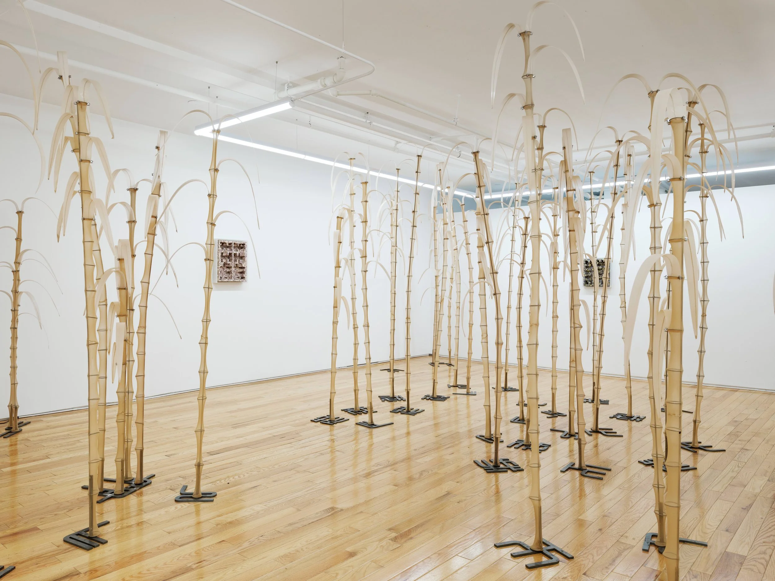 Chang_Serena_01 - Serena.jpg