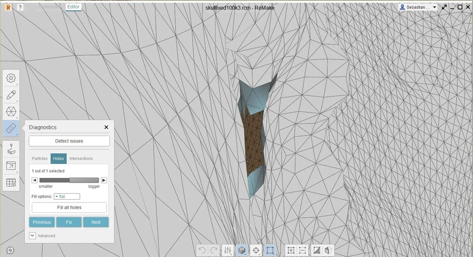 Mesh 5
