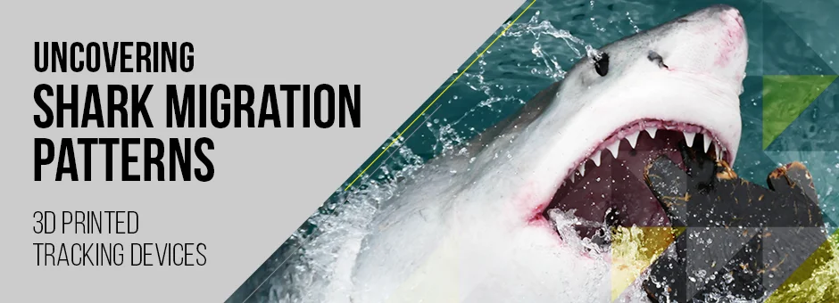 3D Printing Shark