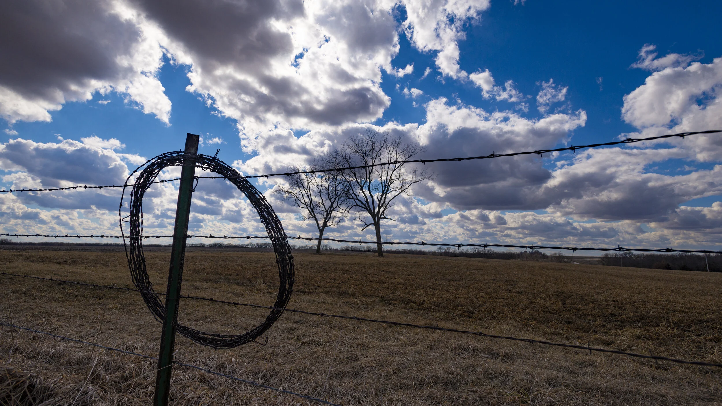 Barbed Wire 2019-02-23.JPG