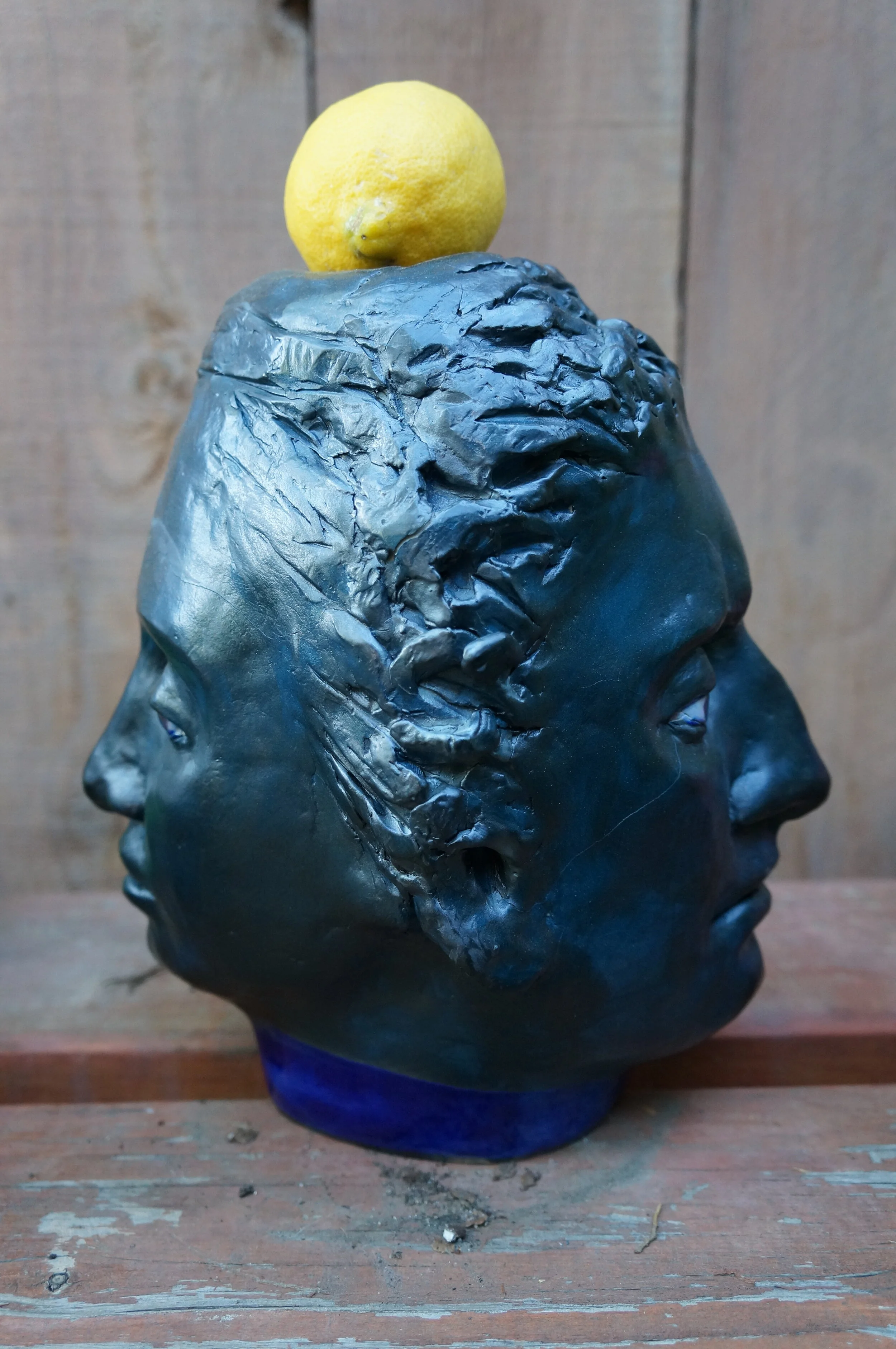 Athena/Apollo, Janus Series 