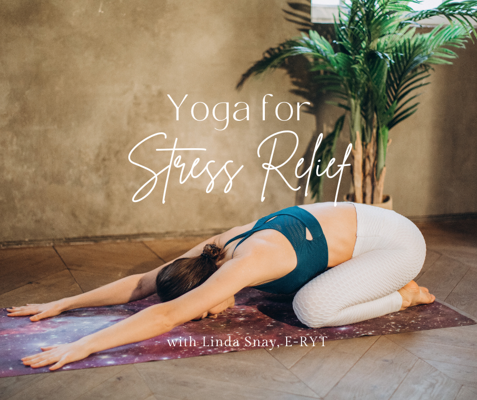 Dragonfly Brand Yoga Clothes