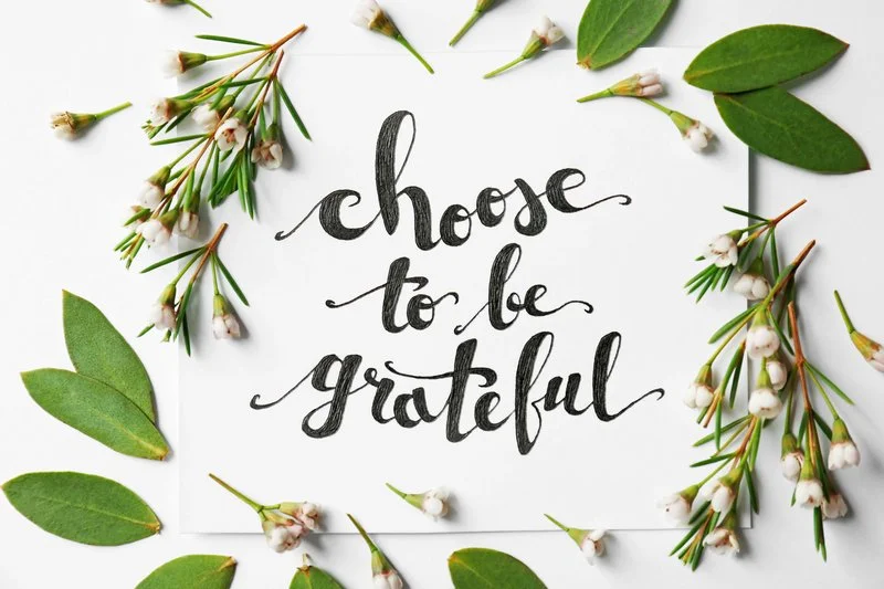 Special Gratitude Practice: Gentle Yoga for Beginners with Anita Perry 