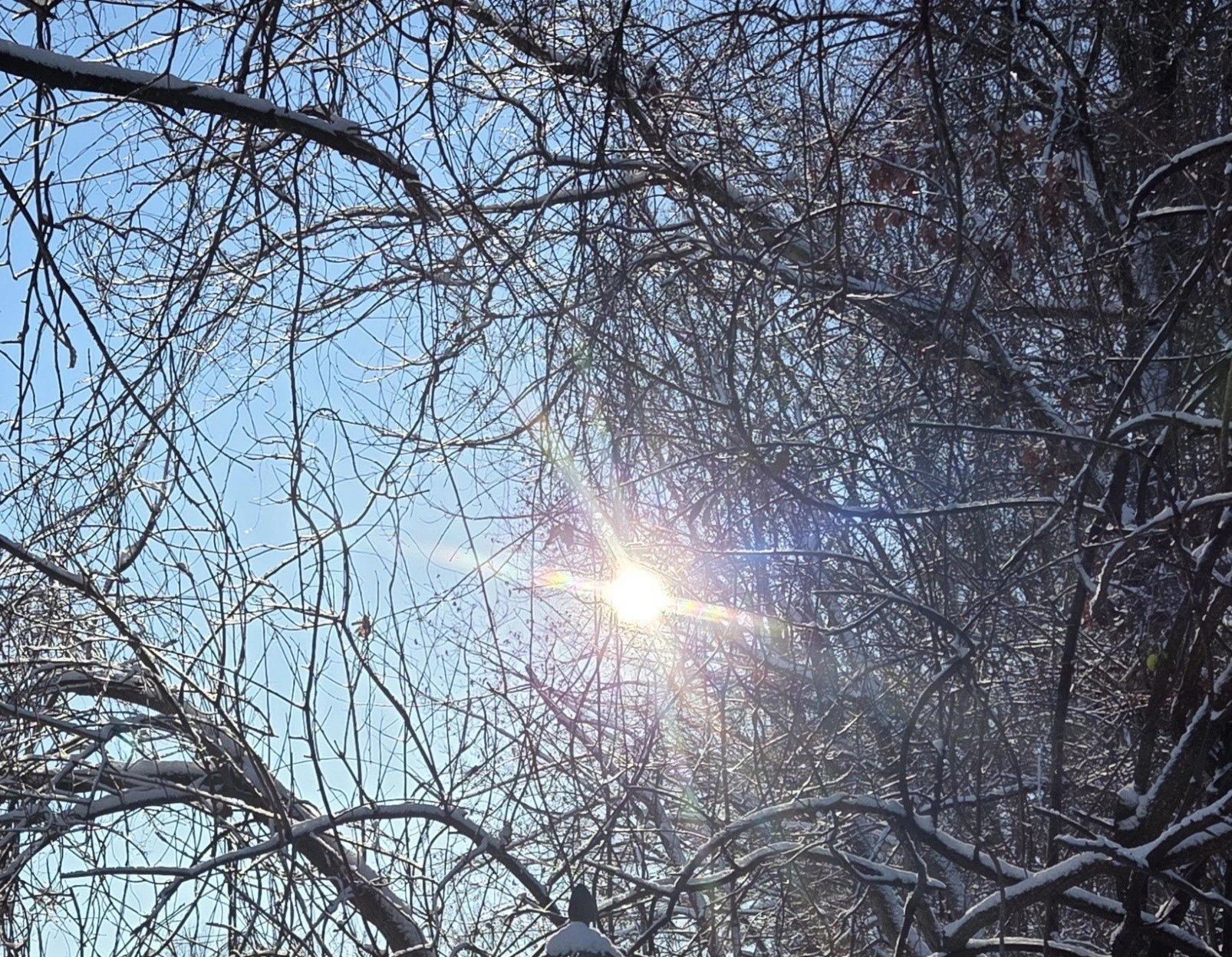 Spirituality During Challenging Human Times