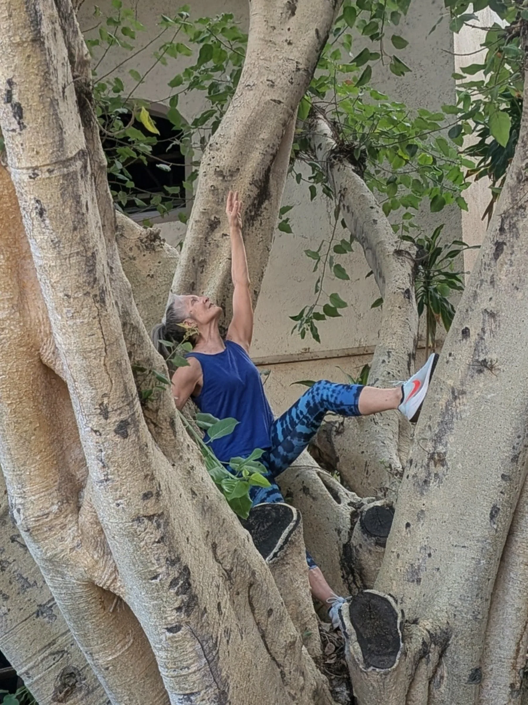 Stretch &amp; De-stress with Sheila Peters  5 week series 