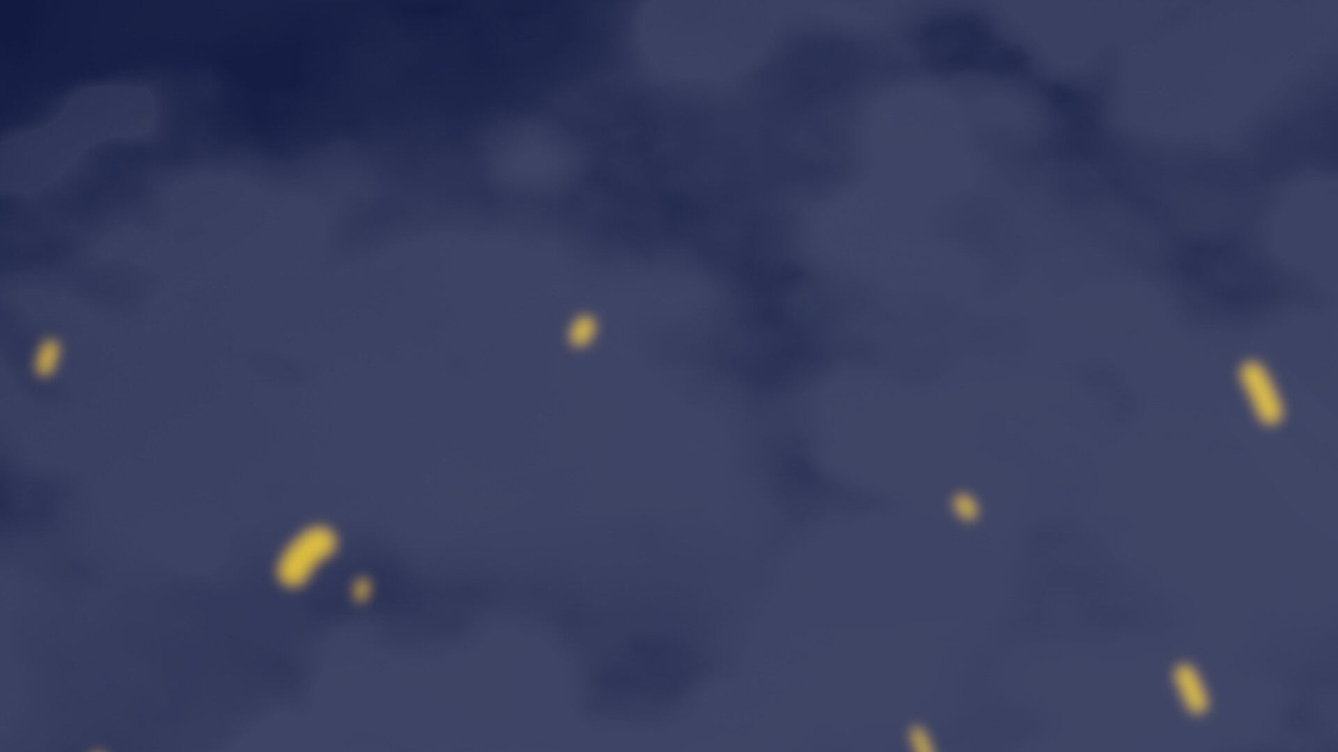 1.1.1.8_03.jpg