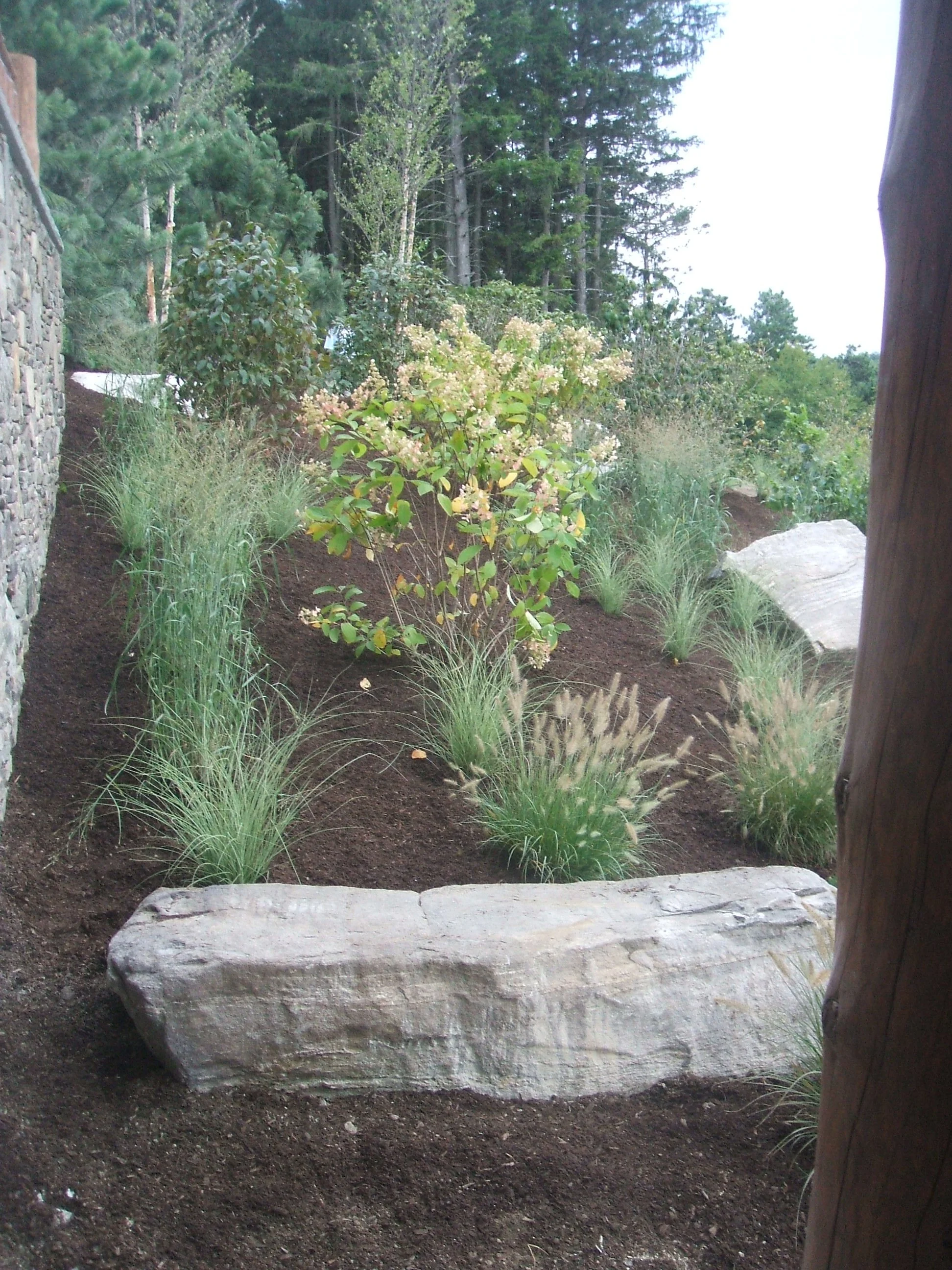 DSCF1870.JPG