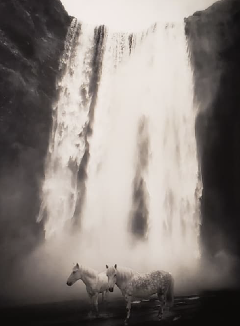 Screen Shot 2022-08-04 at 12.40.13 AM.png