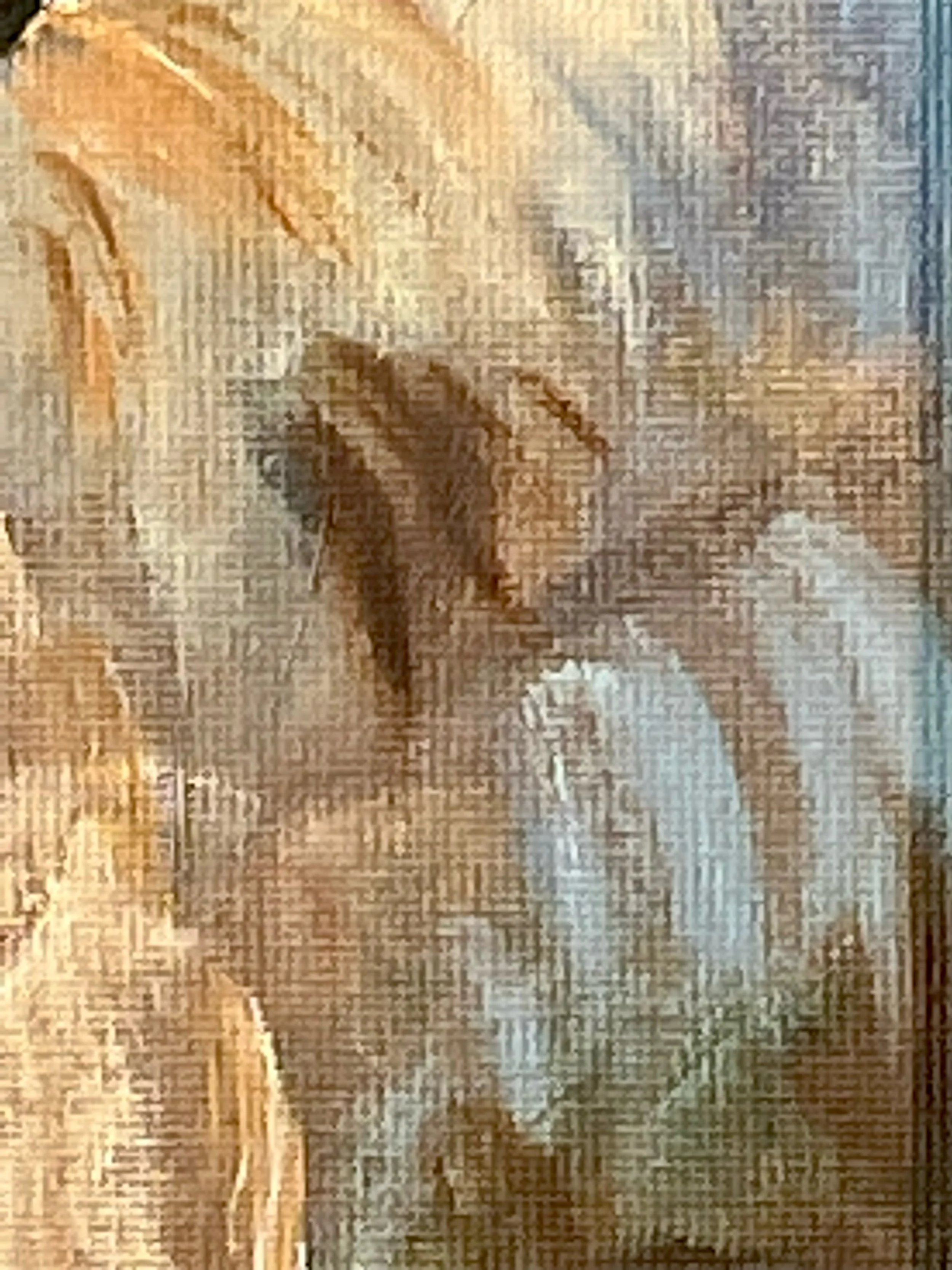 FullSizeRender 17.jpeg