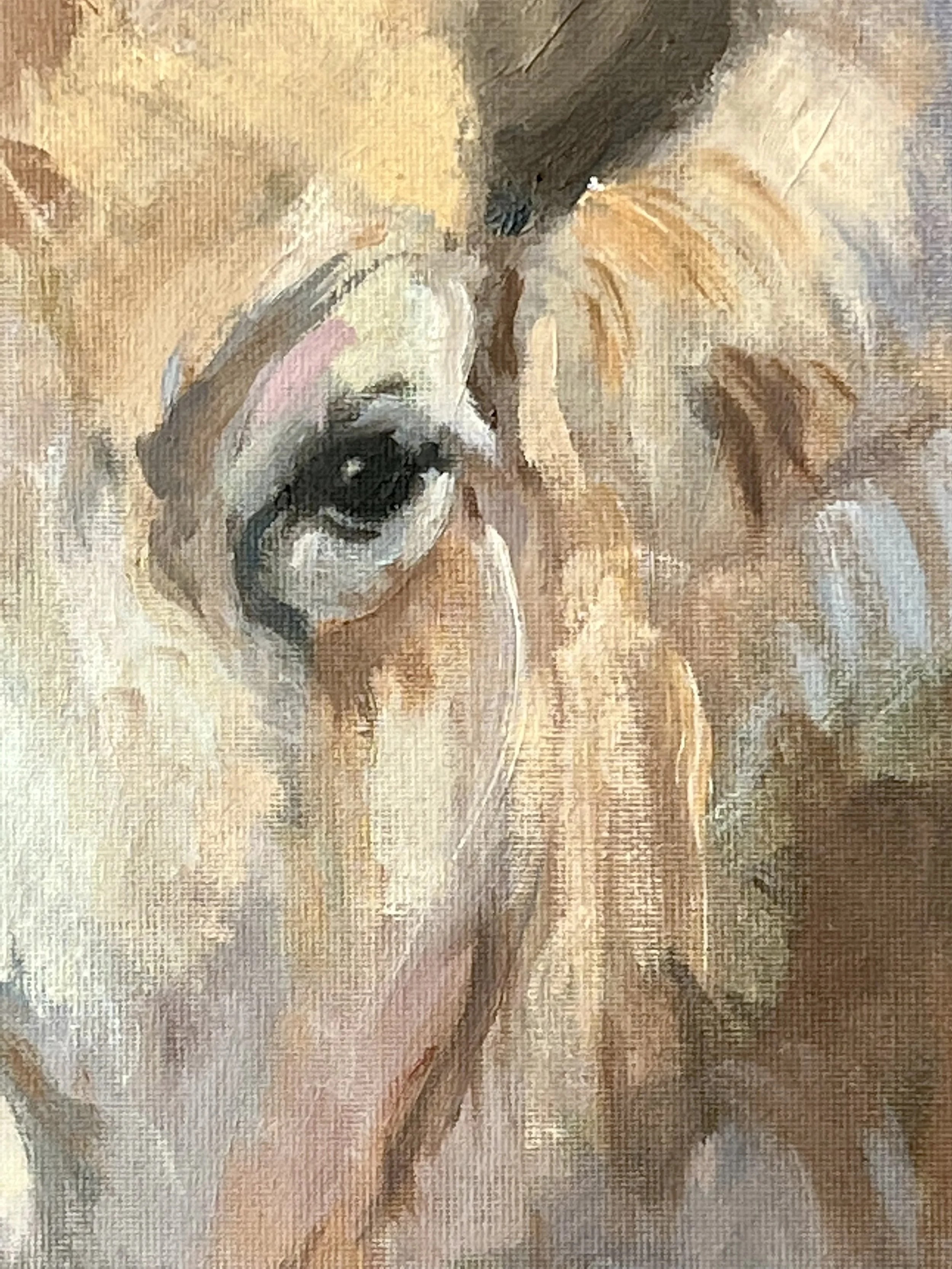 FullSizeRender 14.jpeg