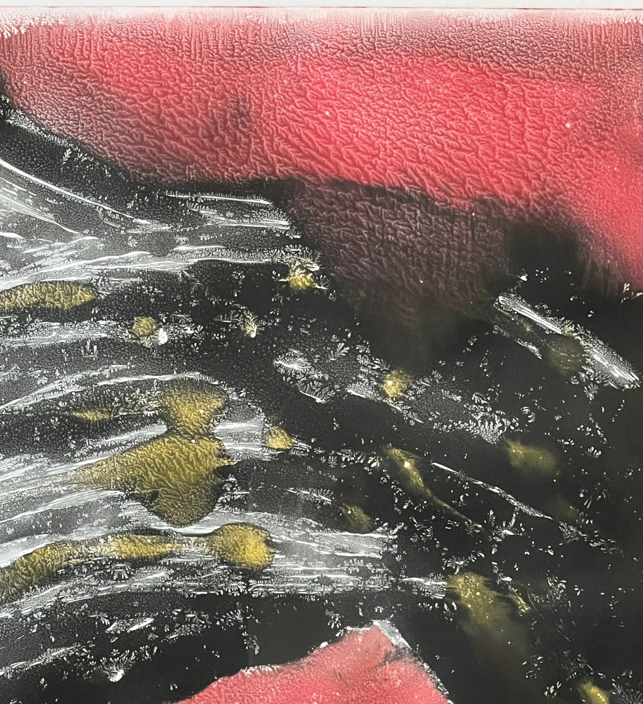 FullSizeRender 3.jpeg