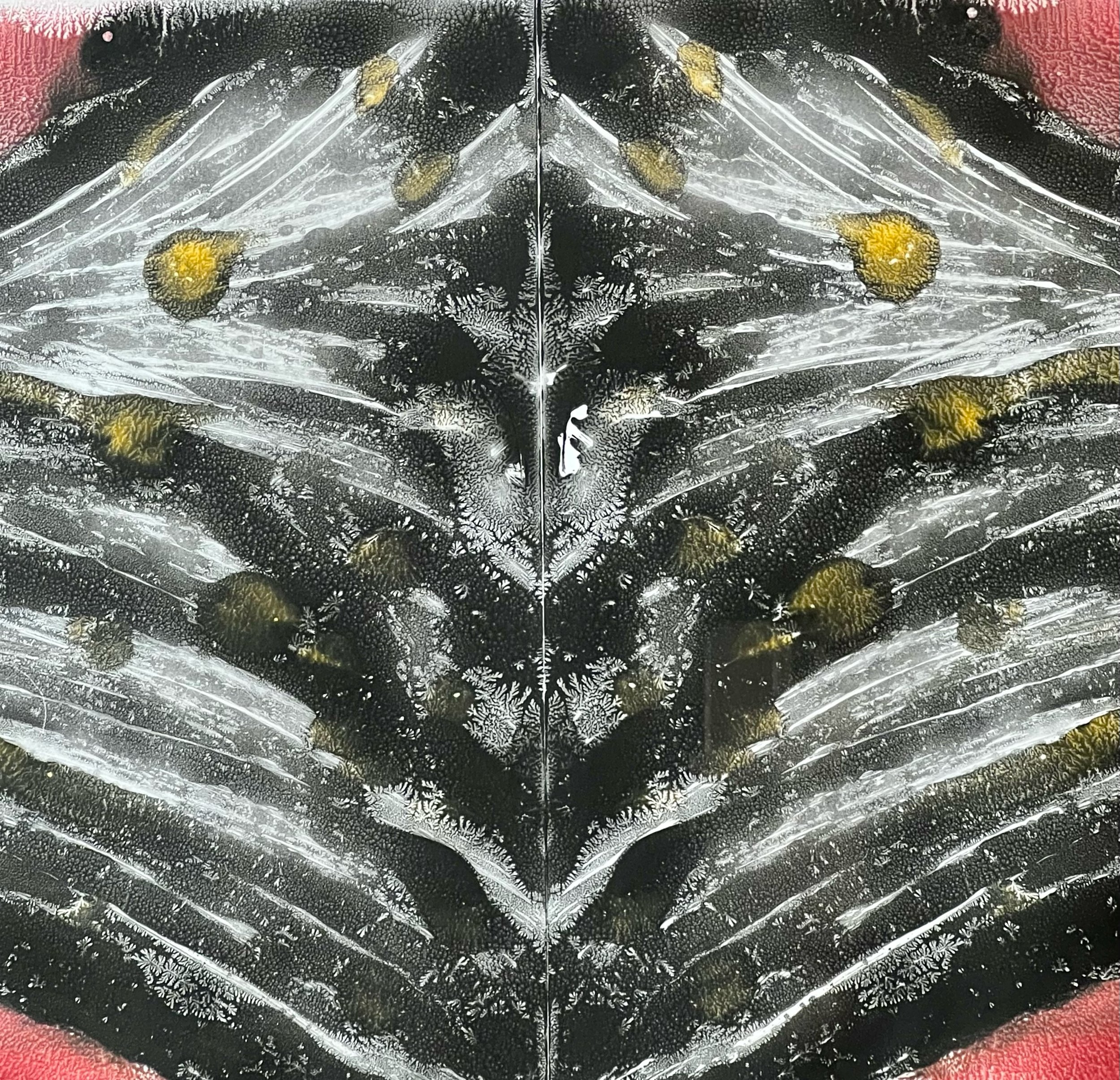 FullSizeRender 4.jpeg