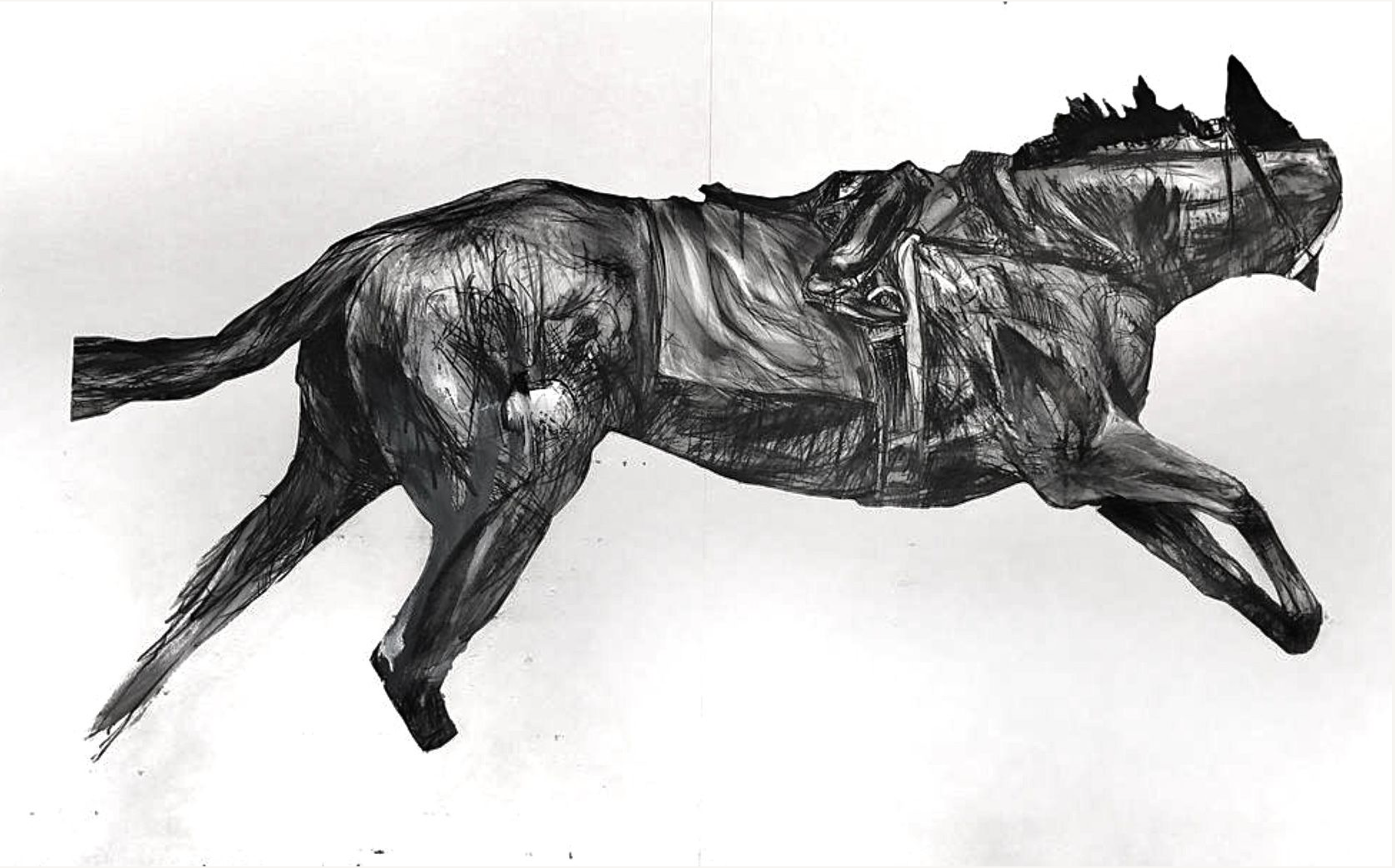 Screen Shot 2025-04-23 at 12.01.24 AM.png