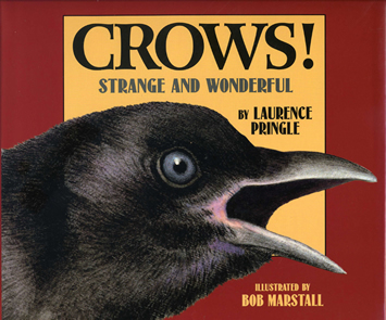 Crowsjacket_000.jpg