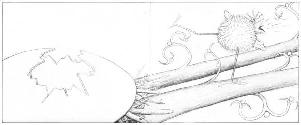 05 p 24-25 sketch re-do.jpg