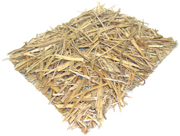 Single Net Straw.jpg