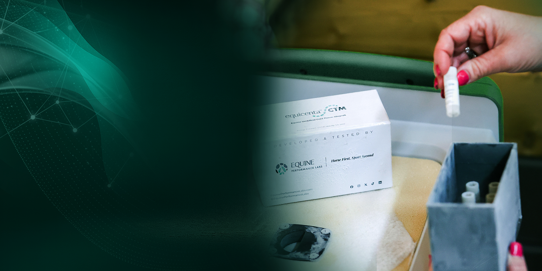 equicenta® CTM is a veterinarian-administered injectable designed to support joints, tendons, and ligaments using naturally derived equine tissue components.