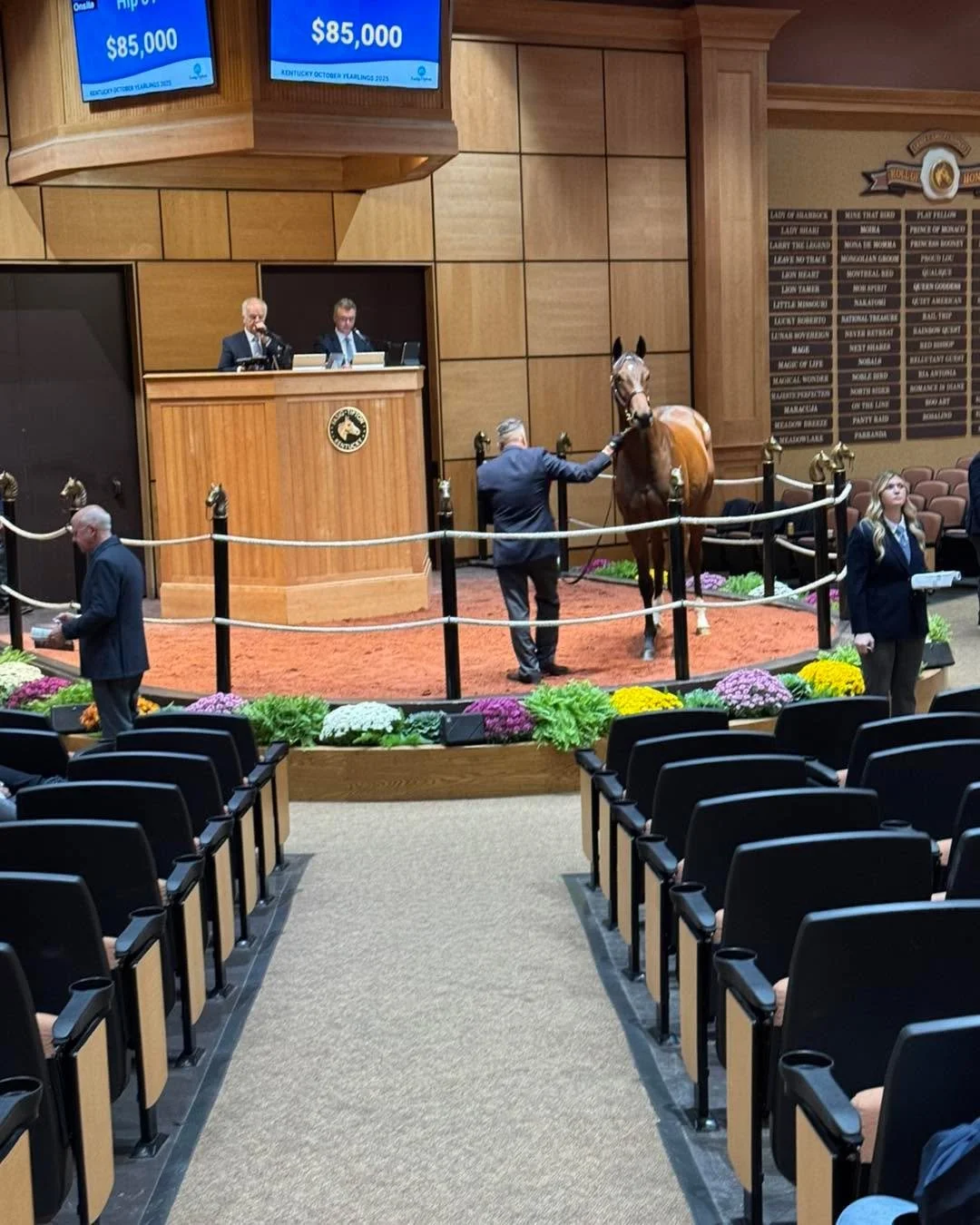Great start to the October sale! Idol/Lady Sabelia filly sells for $85,000! Let&rsquo;s geaux Team Coteau Grove Farms.