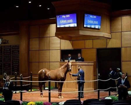 Half Sister to Tumbarumba Brings $400K at F-T October - BloodHorse

Read more here: https://www.bloodhorse.com/horse-racing/articles/288088/half-sister-to-tumbarumba-brings-400k-at-f-t-october