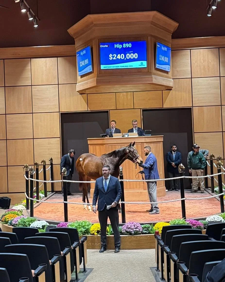 It sure is a girls world at Coteau Grove Farms!

$240,000 for our Life is Good filly out of Willful Woman! Life is good!