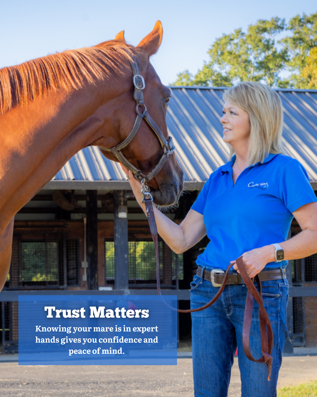 Is Your Expecting Mare in the Right Hands Here’s How to Tell..zip - 5.PNG