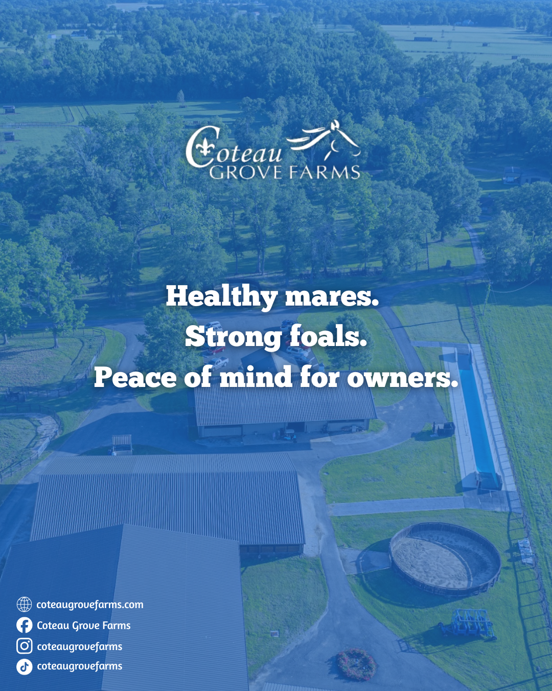 Is Your Expecting Mare in the Right Hands Here’s How to Tell..zip - 6.PNG