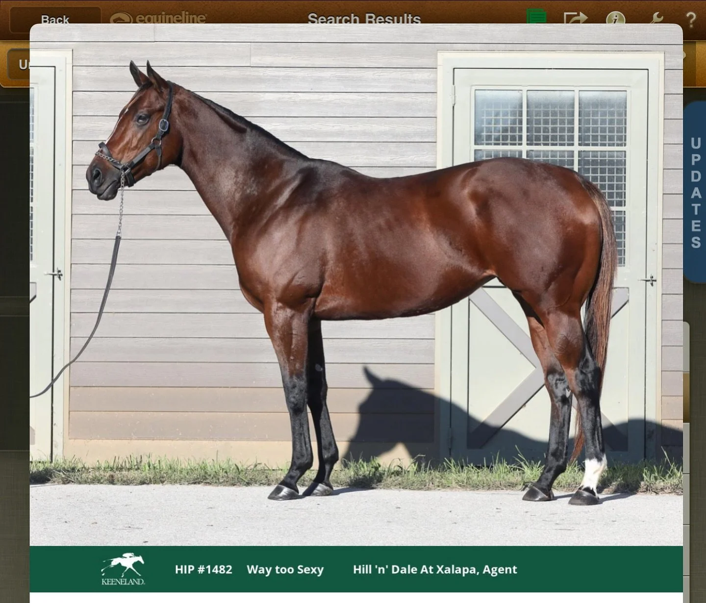 Welcome to the team the well named Way Too Sexy! What a beautiful horse&rsquo;