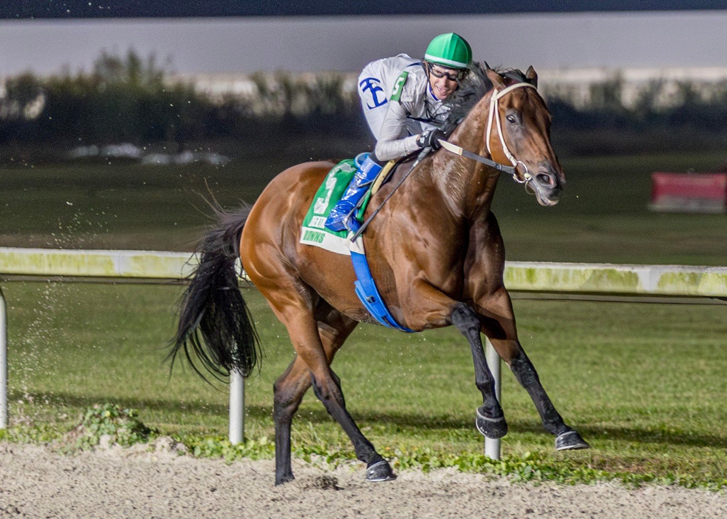 TOUCHUPONASTAR AVENGES ONLY LOSS AT DELTA DOWNS IN THE DELTA MILE STAKES

At the top of the homestretch, Touchuponastar owned a six-length lead, which only grew in the final strides as he was being hand ridden. At the finish line he was 10 lengths be