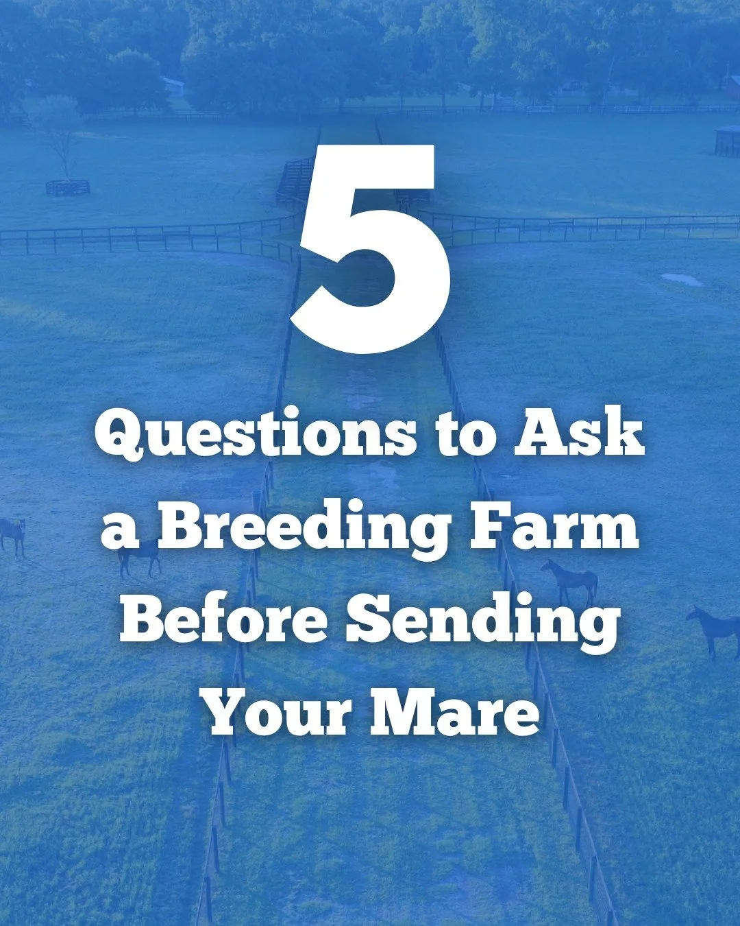 Sending your mare to a breeding or foaling farm is a big decision &mdash; and the right questions can make all the difference. 🐴💭

Before you hand over the lead rope, make sure you know exactly how your mare will be cared for. From daily routines t