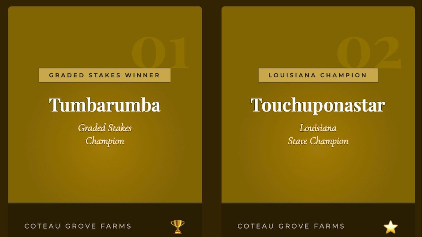 These two Coteau Grove Farms bred champions are #1 and #2 on the list of Graded Stakes wins with the Louisiana Thoroughbred Breeders Association with earnings of $3,210,433 &amp; $2,060,000. Both have full siblings foaled this year at Coteau Grove Fa