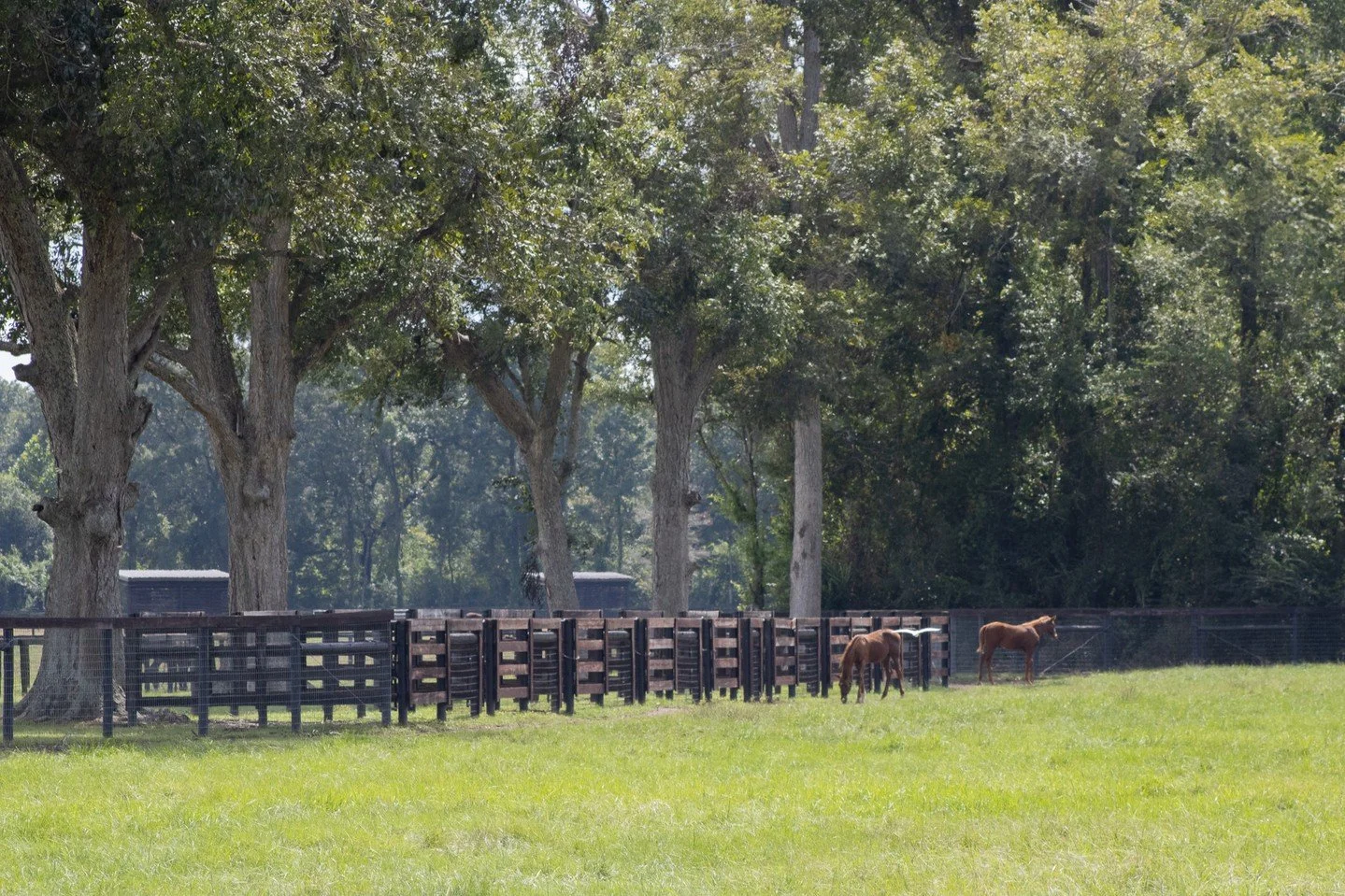 Excellence is in the details &mdash; especially at feeding time. 🌾

At Coteau Grove Farms, every horse gets their own dedicated feed stall so they can enjoy a full, individualized meal without competition or stress. Combined with customized feeding 