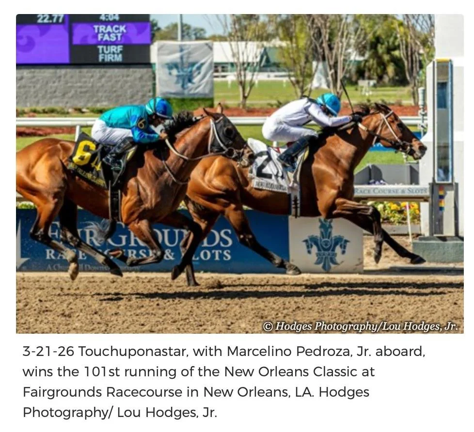 Star Guitar Siring Winners at Coteau Grove Farms 🎸 🎶 

Another stallion making his mark on the 2026 Coteau Grove Farms foal crop is Star Guitar! With foals out of Union Lake, Contributing, Onetheonesandtwos, Touch Magic, and Cilla already on the gr