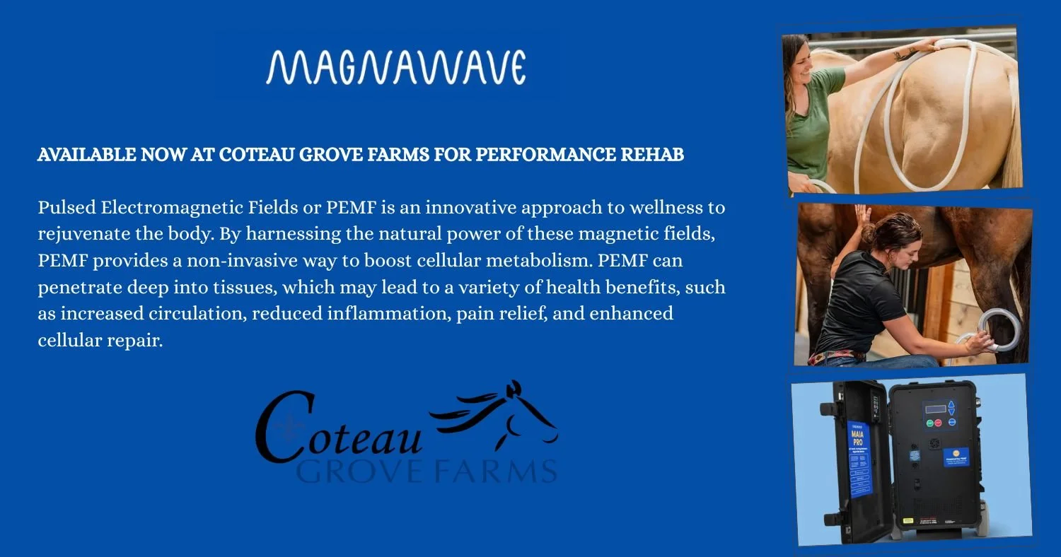 🐴 NOW OPEN: Performance Rehab at Coteau Grove Farms

We're proud to announce that our Performance Rehab program is officially open here in Sunset, Louisiana. Founded in 2008 by Keith and Ginger Myers, Coteau Grove Farms has always been built on one 