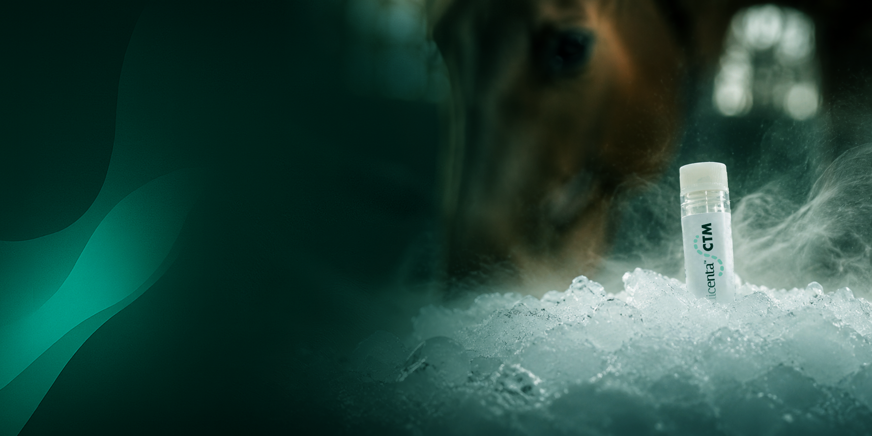 vial of equicenta ctm - equine performance labs