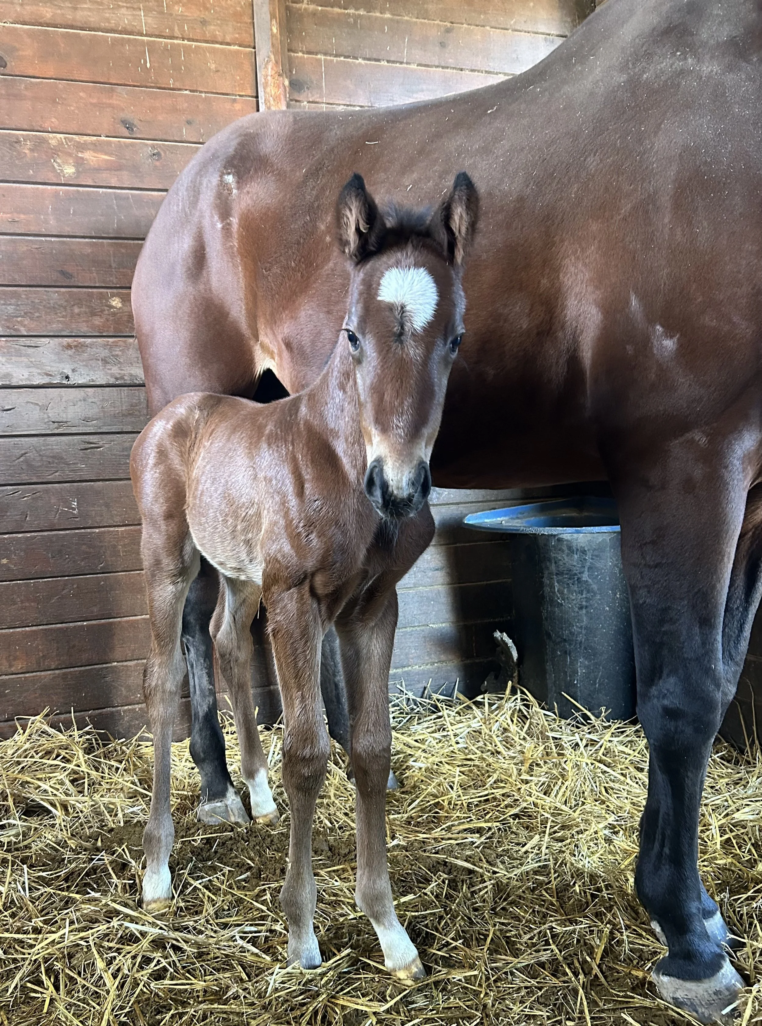 Naive Enough ❌ Oscar Performance