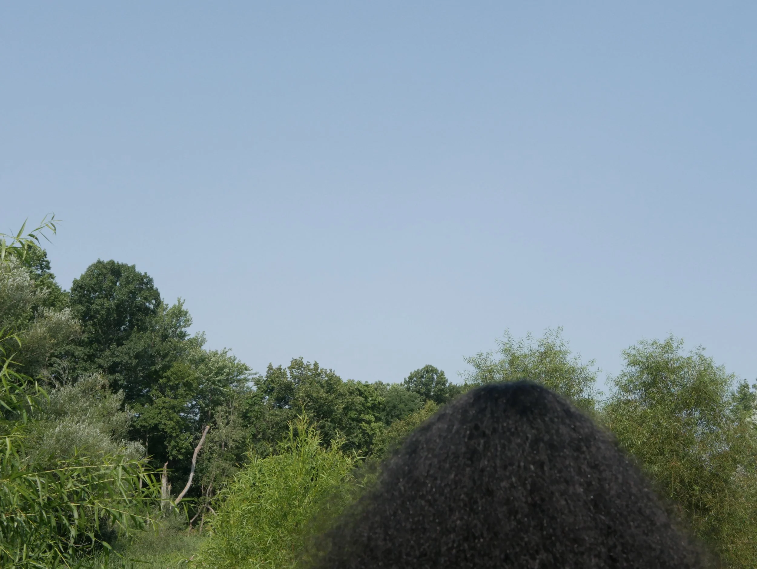 These Lands Recognize Us_Even If.JPG