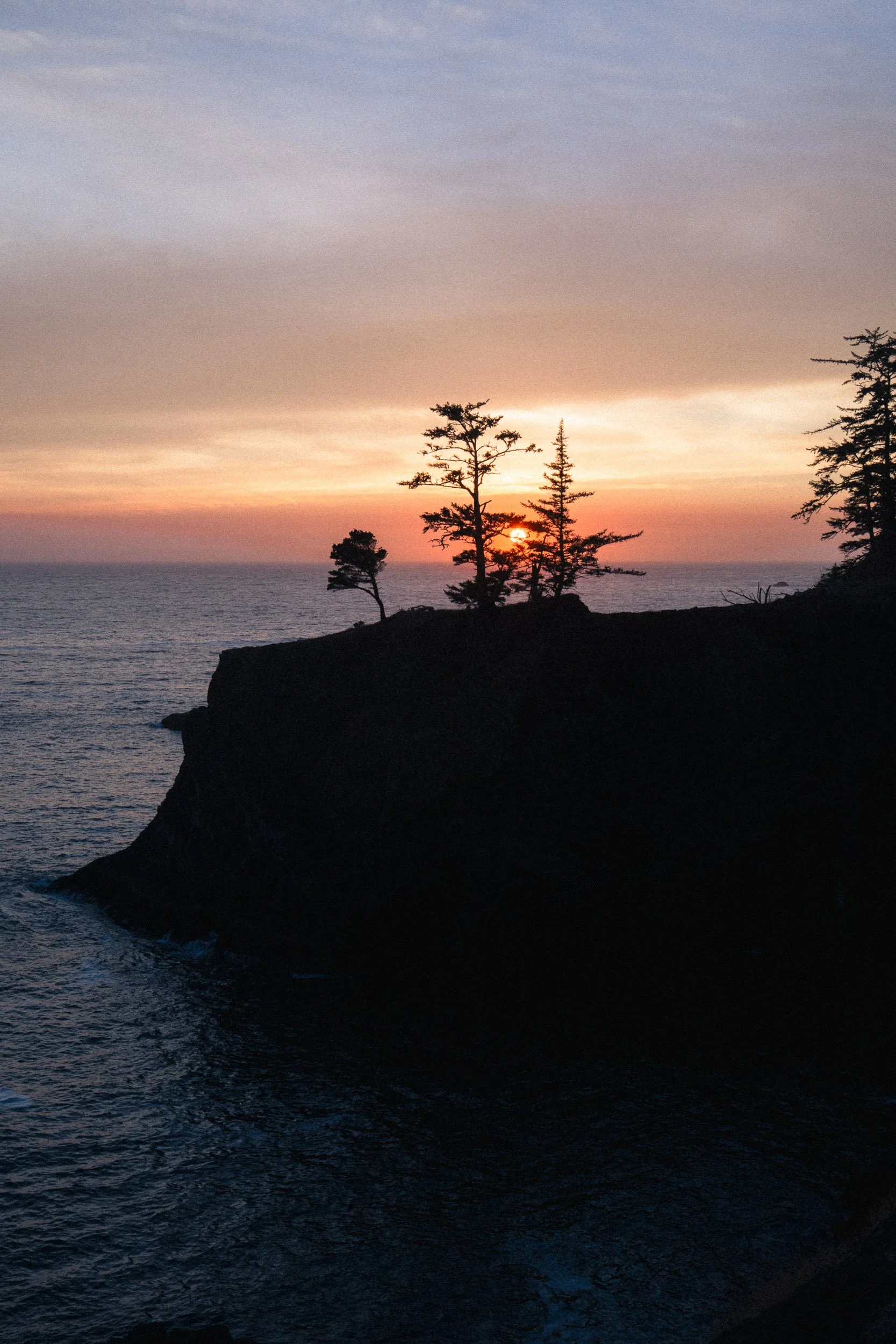 DSC07733.jpg