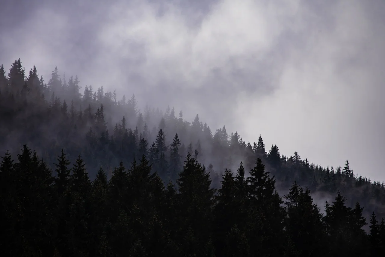 cloudy-3855175_1280.jpg