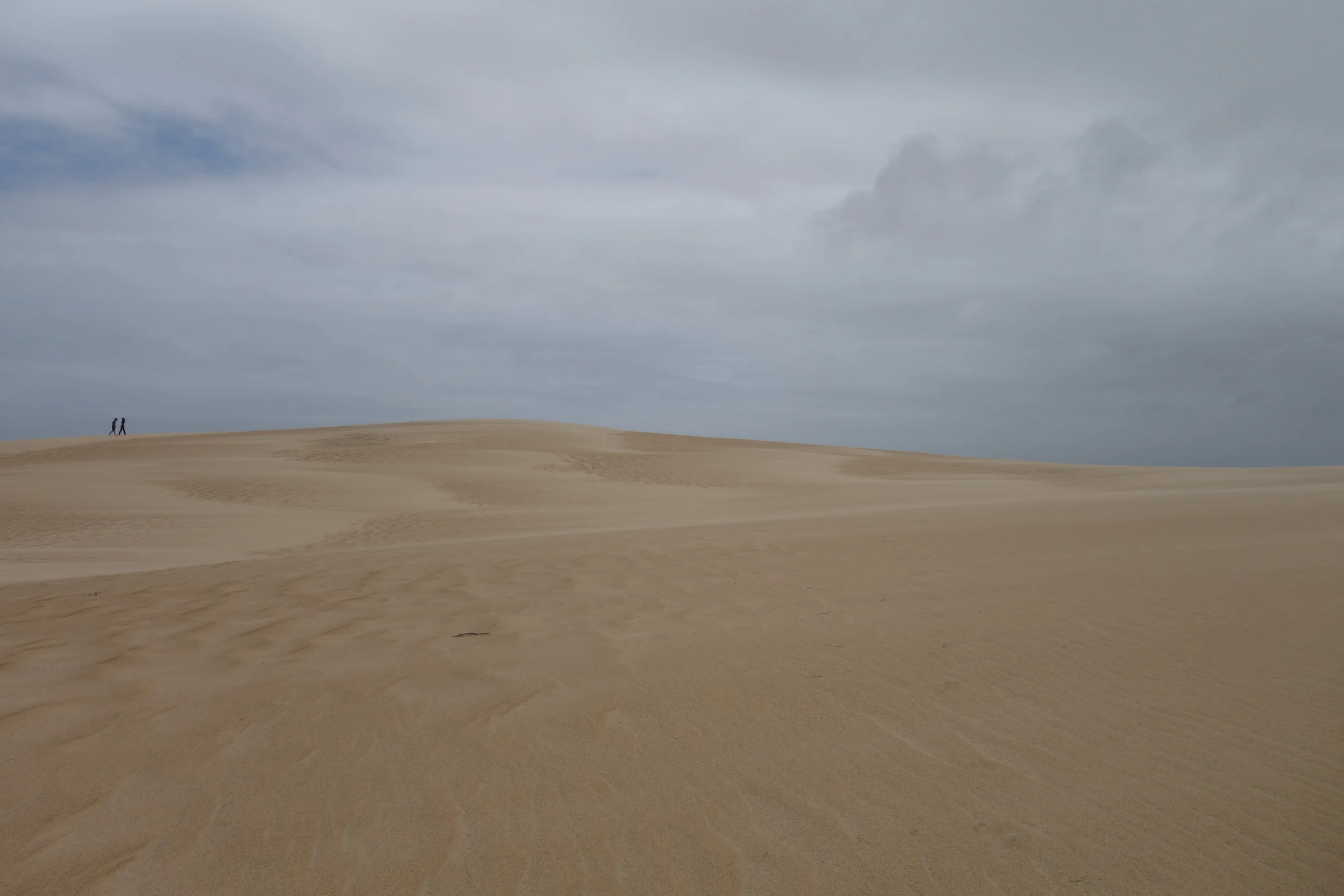 Jockey's Ridge
